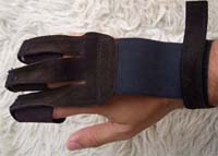 Fingerguard